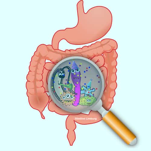 natuurlijk middel tegen schimmelinfectie