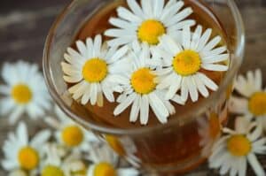 chamomile, tea, drink-829220.jpg