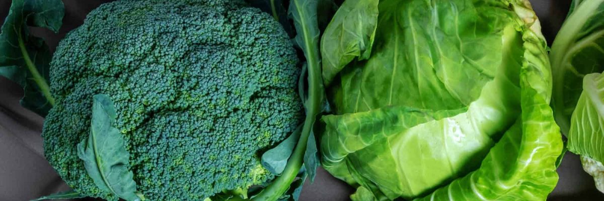 wat te doen tegen maagzweer